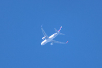 CC-BDC